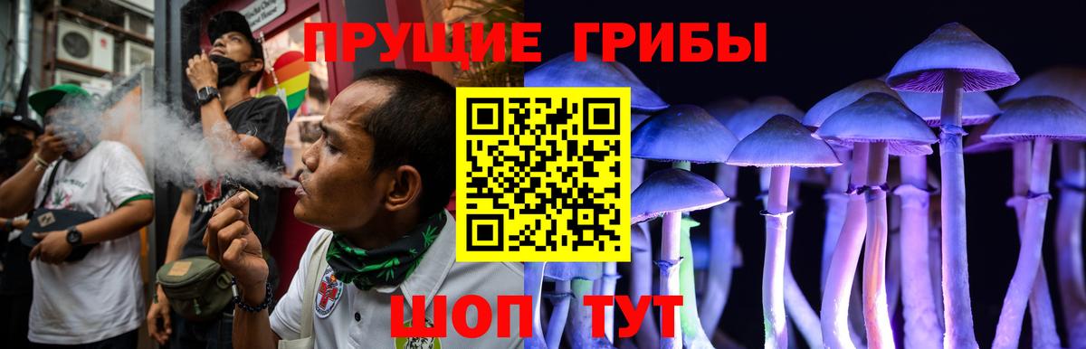 Псилоцибиновые грибы ЛСД Братск